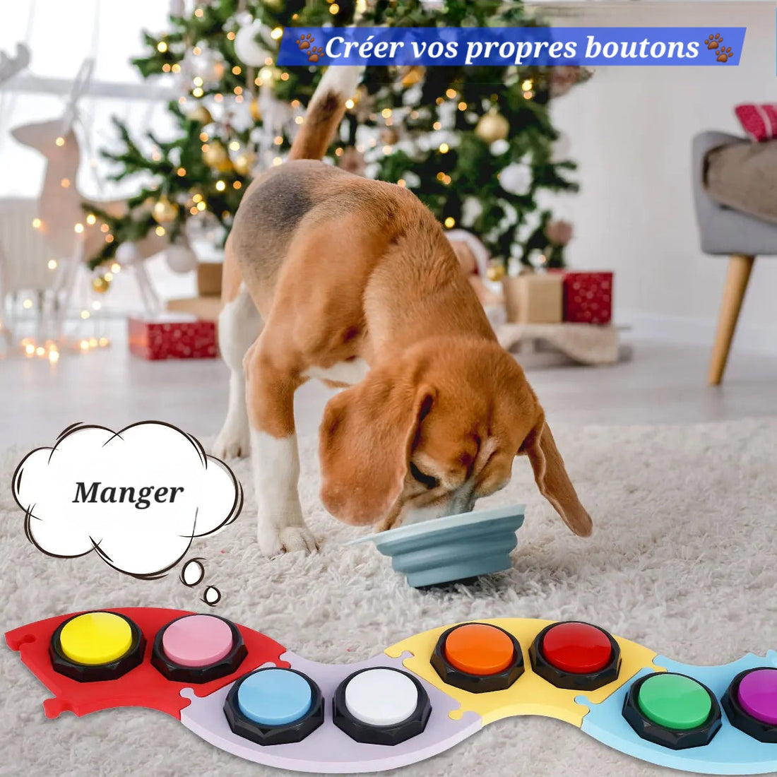 Apprendre aux Animaux à Communiquer avec des Boutons : Quand Nos Compagnons Nous Parlent