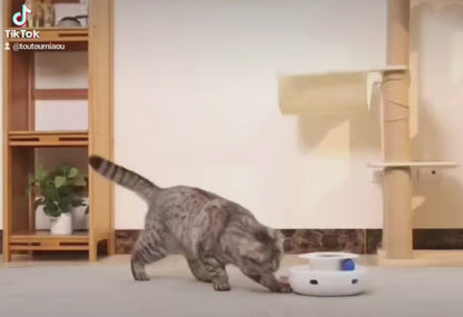 ROJECO 2 en 1 Jouets intelligents pour chat